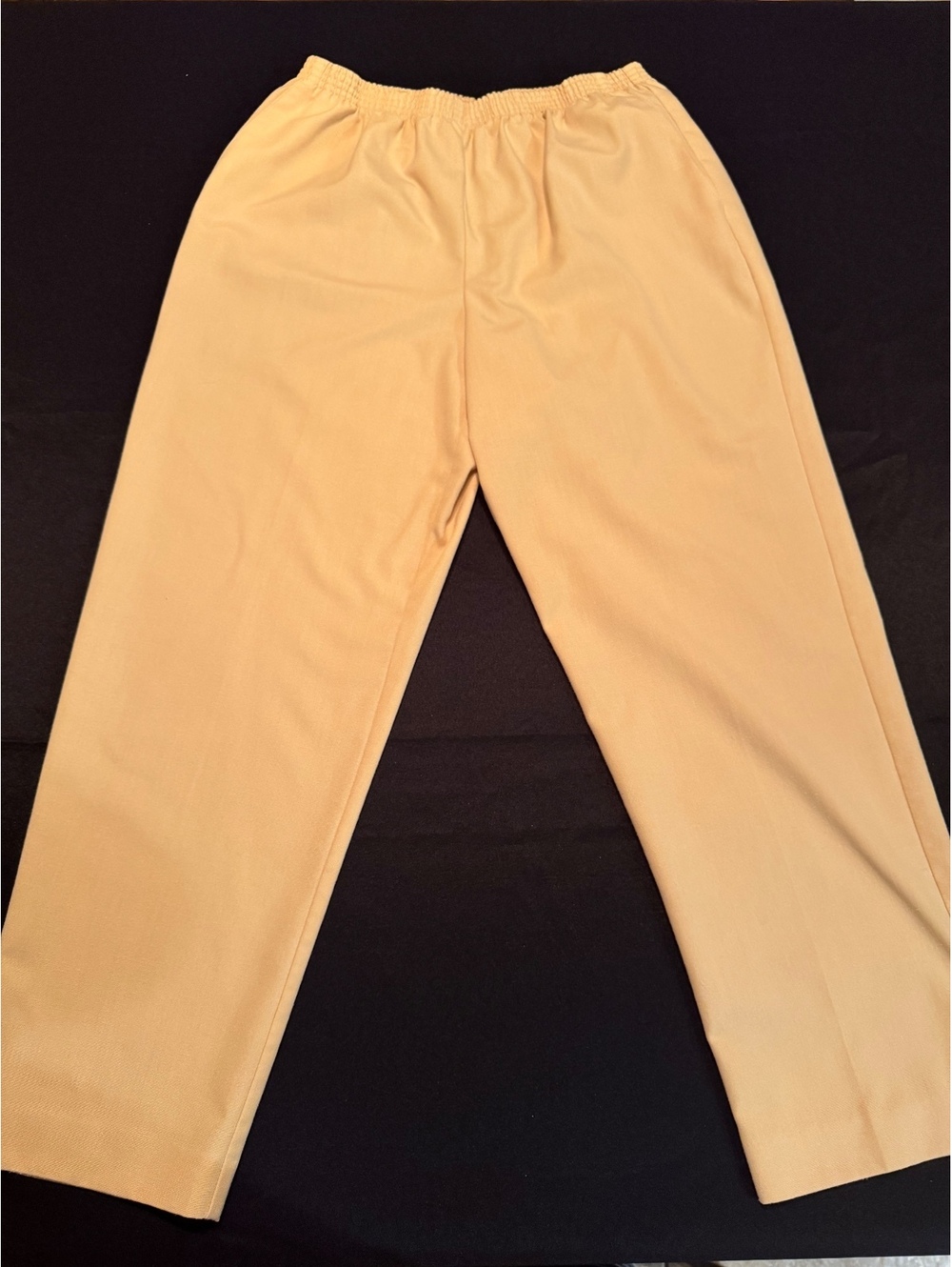 Alfred Dunner Women's Beige Elastic Waist Casual Pants Size 12